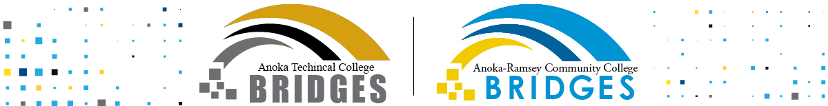 Bridges for Students